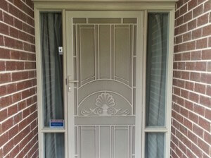 Designer security Door